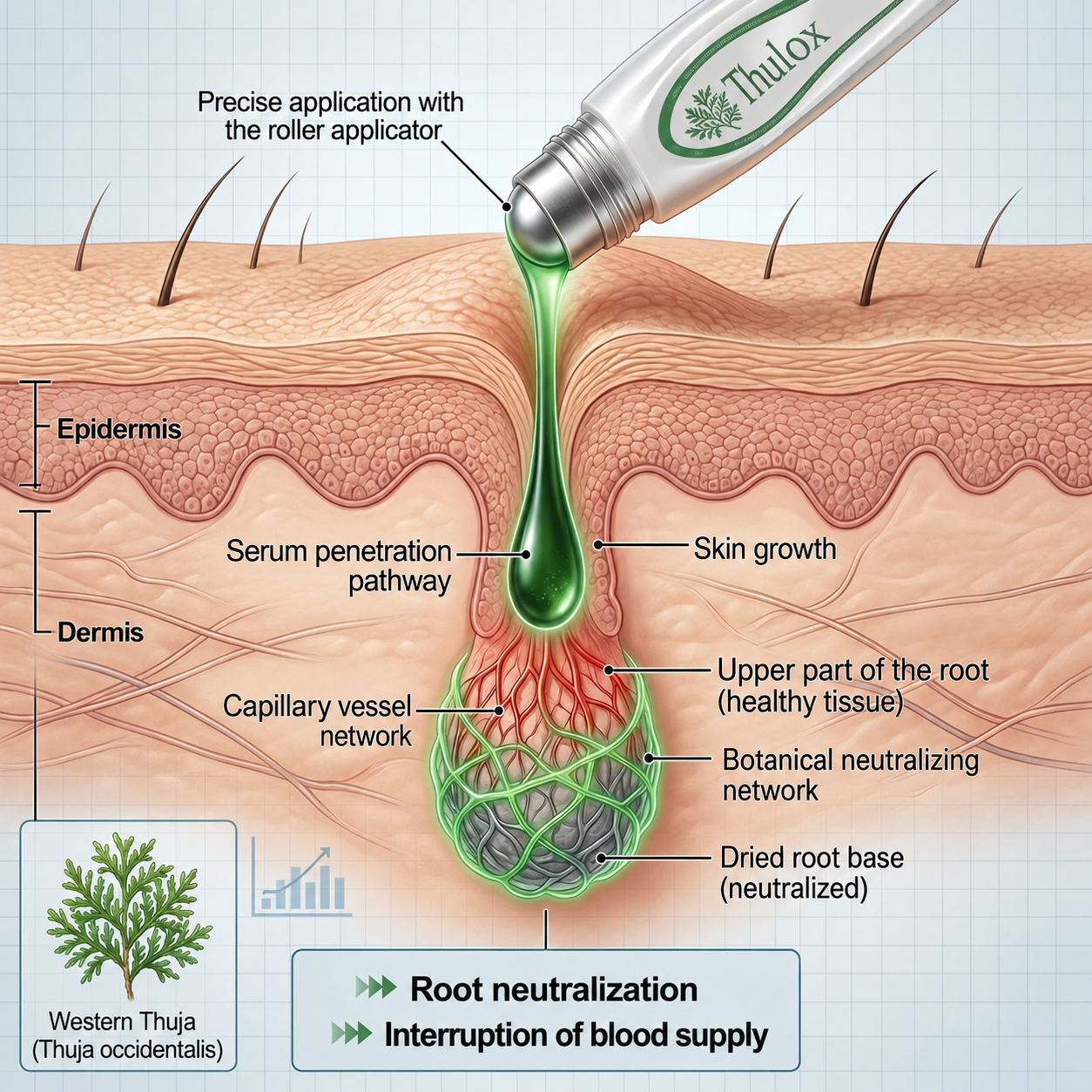 𝐎𝐟𝐟𝐢𝐜𝐢𝐚𝐥 𝐒𝐭𝐨𝐫𝐞 𝐁𝐫𝐚𝐧𝐝 | Tlulox®  👩‍⚕️ 𝐓𝐥𝐮𝐥𝐨𝐱® 7-Day Skin Tag & Dark Spot Remover (Pain-free roll-on applicator · No scars · Gentle skin care solution) 🌱