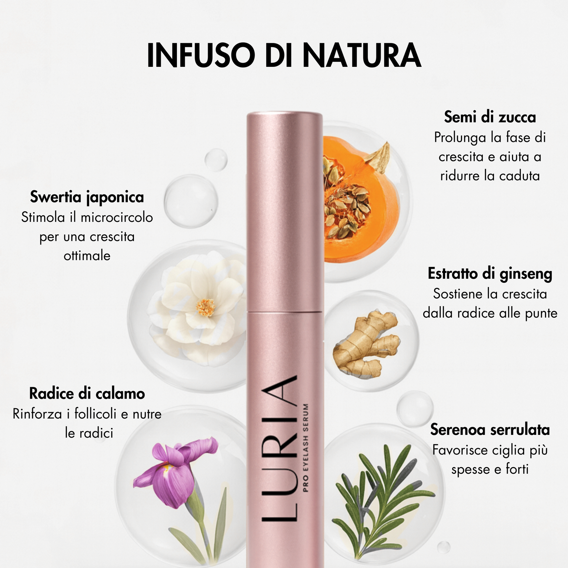 SIERO PER CIGLIA