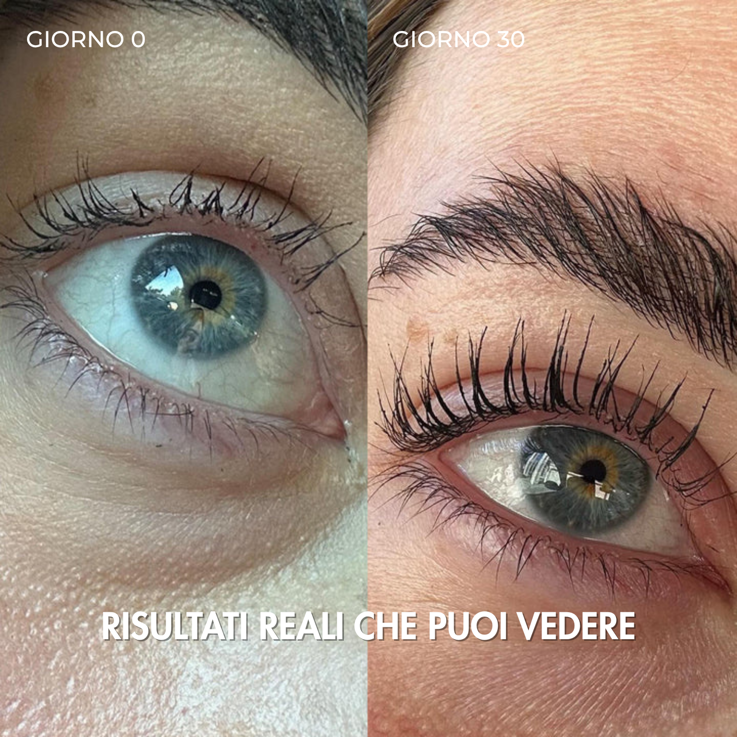 SIERO PER CIGLIA